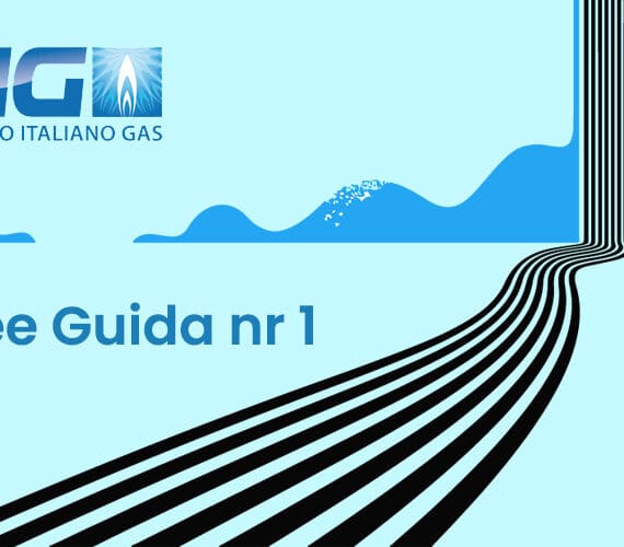 Dichiarazione gas, il logo del CIG